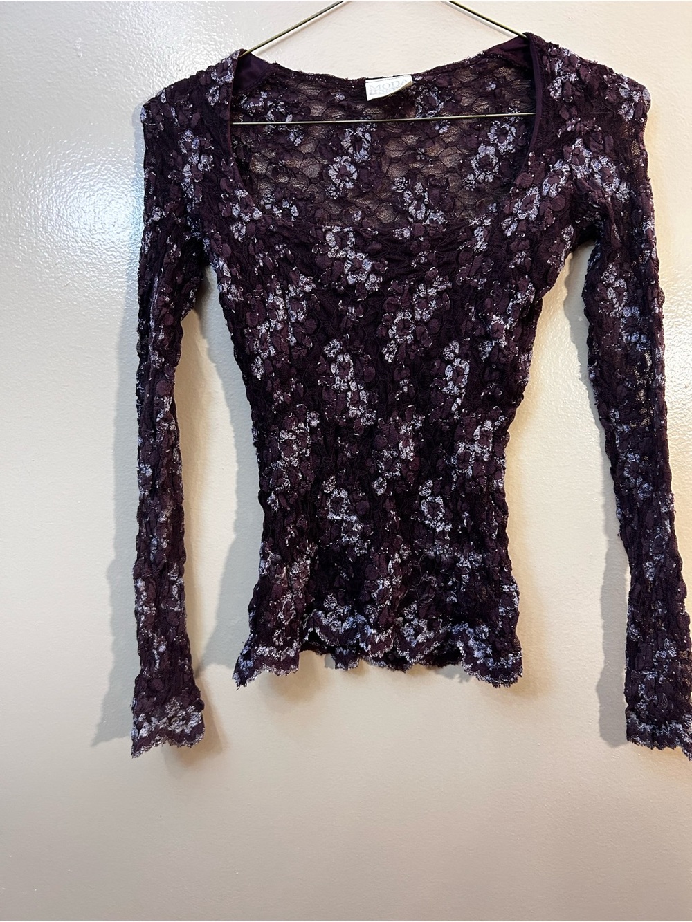 Moda Sheer Floral Lace Long Sleeve Top - Plum
